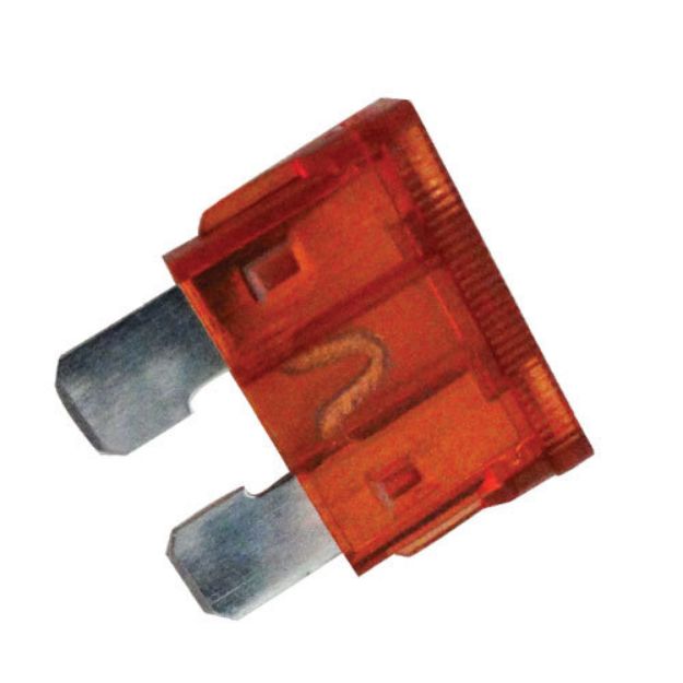 Picture of 40 Amp Blade Fuse
